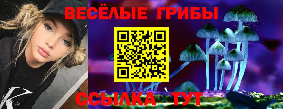 Псилоцибиновые грибы Cubensis  Вход с VPN  Ступино  Галлюциногенные грибы Psilocybe 